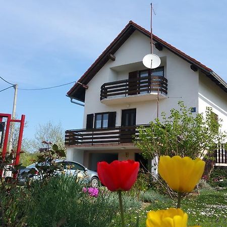 Apartment Ankica Seliste Dreznicko Exterior photo