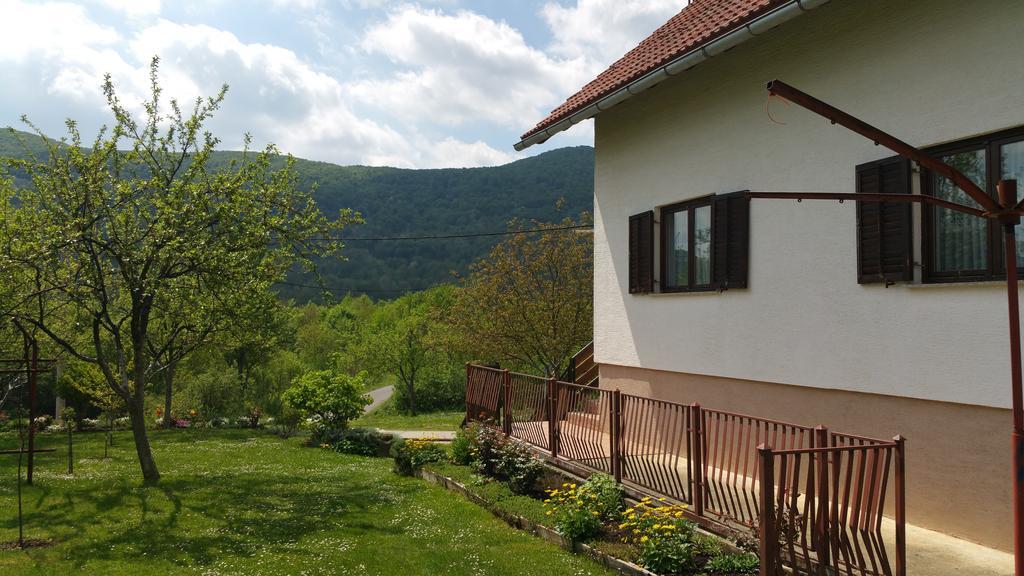 Apartment Ankica Seliste Dreznicko Exterior photo