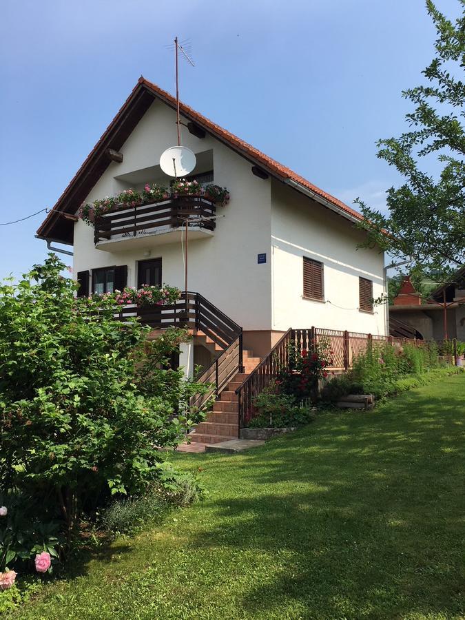 Apartment Ankica Seliste Dreznicko Exterior photo